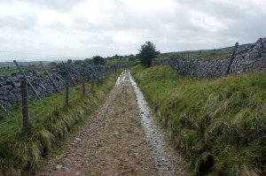 Photo by Frederick Hippsley