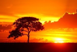 Photo by Jean Carneiro