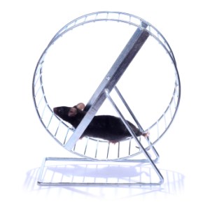 iStock_000011934301XSmall